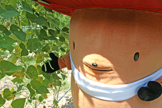 2011_08_28_01.jpg