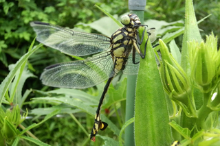 2011_09_14_01.jpg